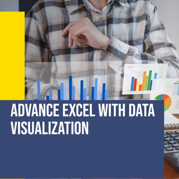 Advance Excel with Data Visualization